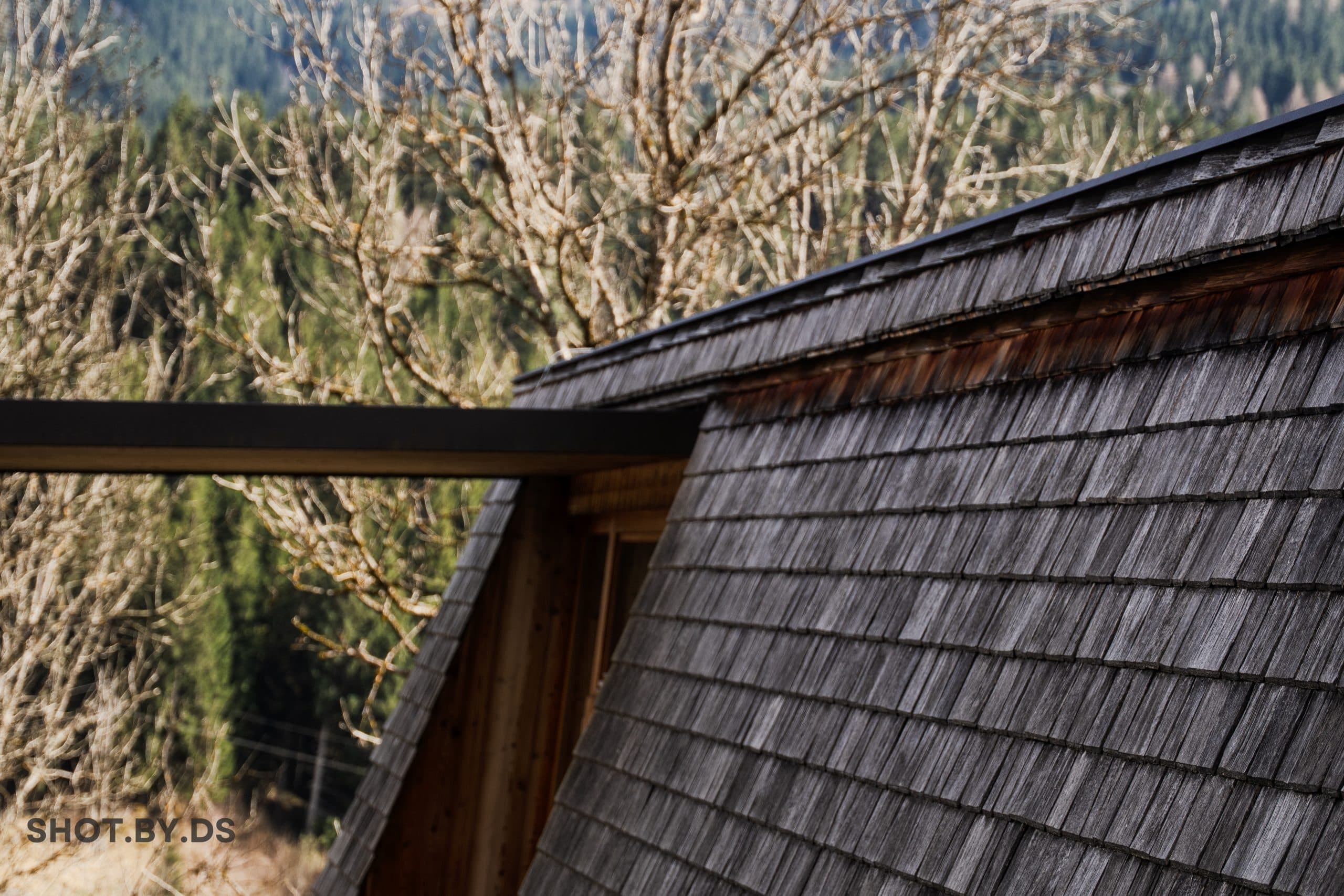 Altholzarbeiten Bild 2